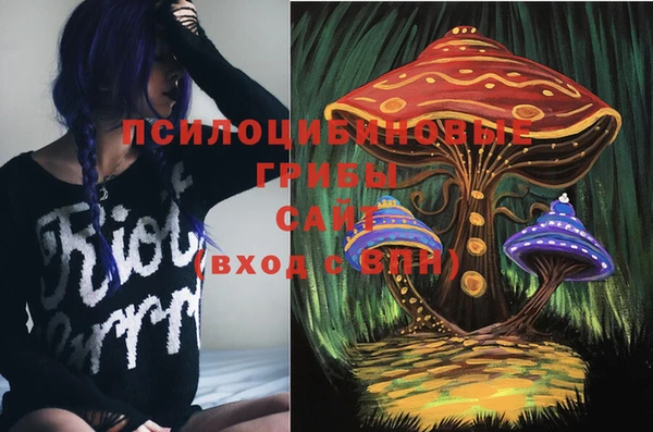 гидропоника Лихославль